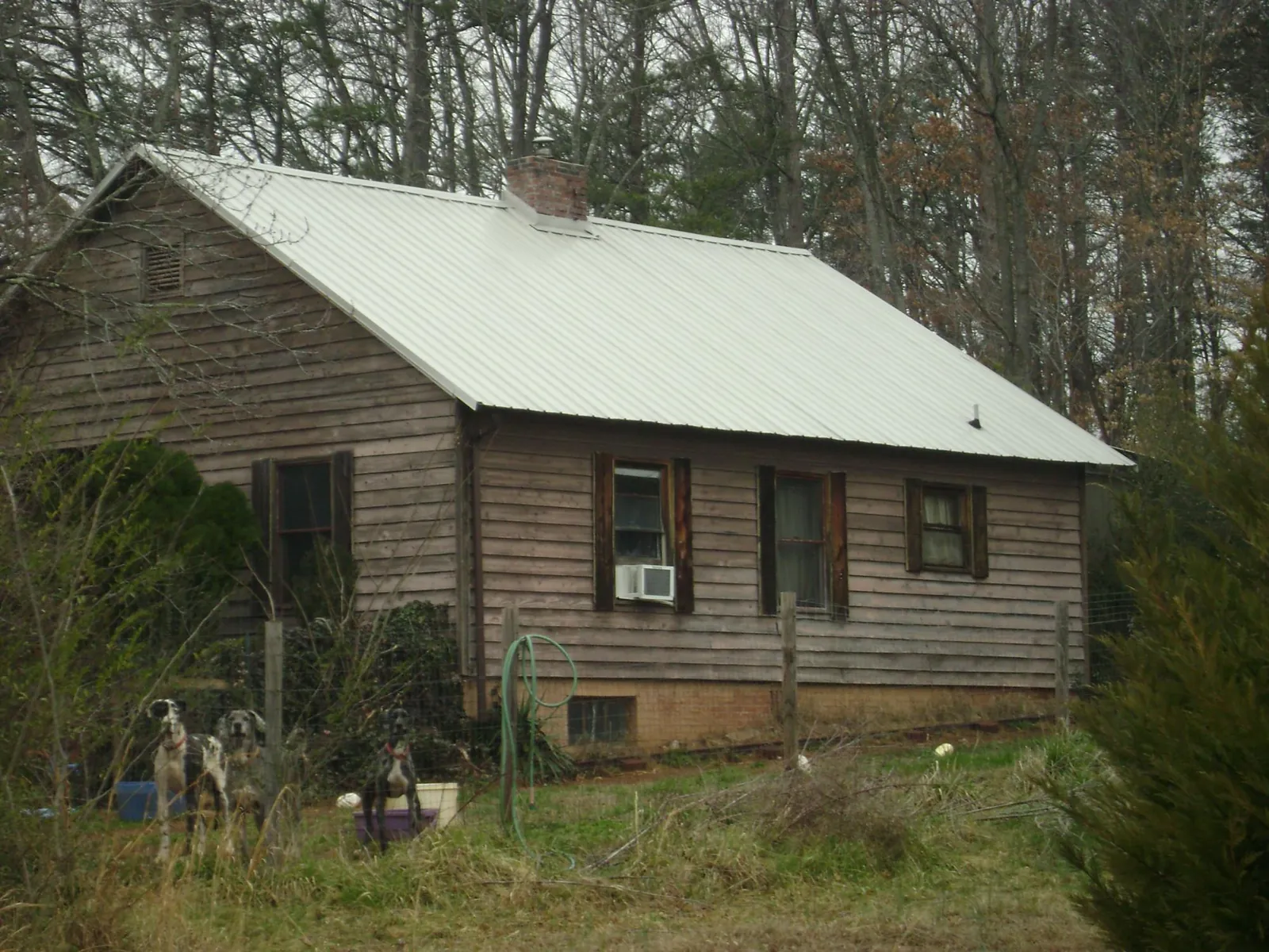White metal roof on an old wood sided farmhouse, from a Asphalt Shingle Roof Repair job in Rathdrum